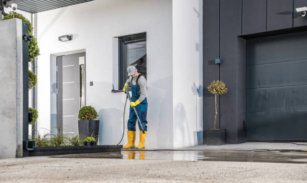 Best Sidewalk and Walkway Cleaning  in Dupo, IL
